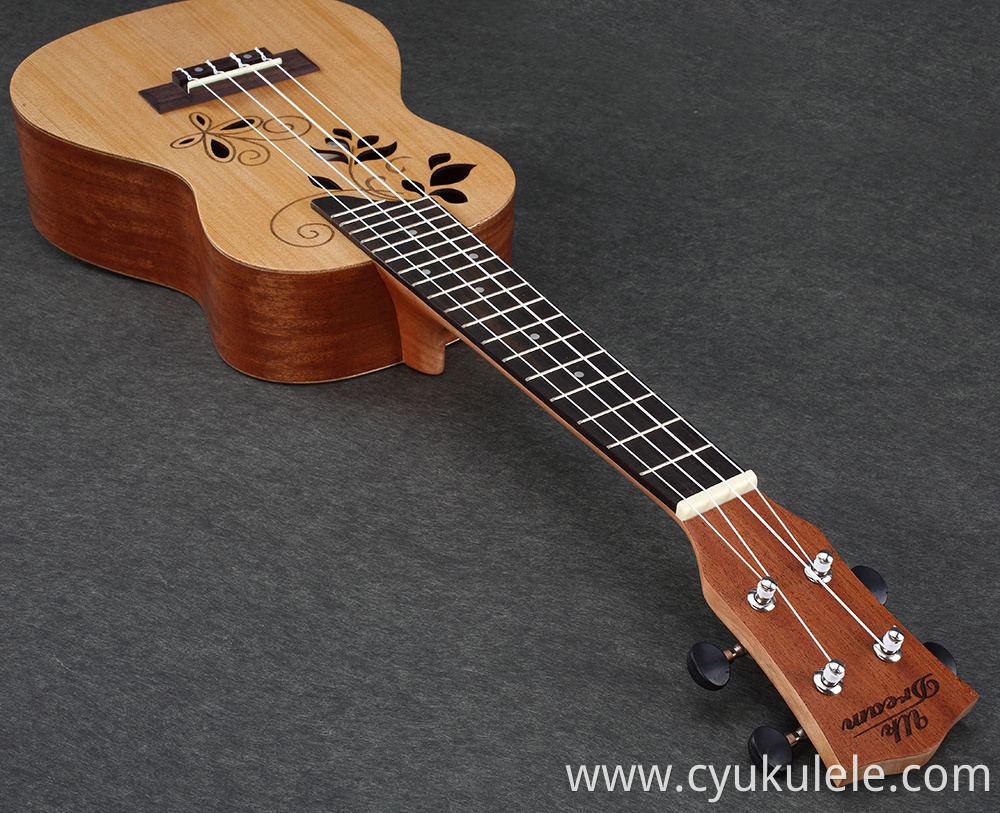 ukulele9 ukulele9